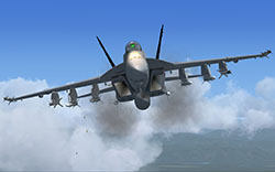 FSX screen 6