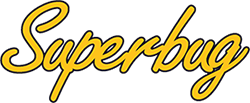 logo script